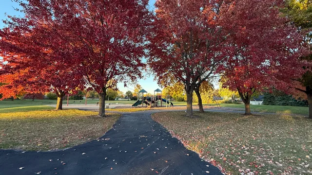 a view of yard with tree in the background