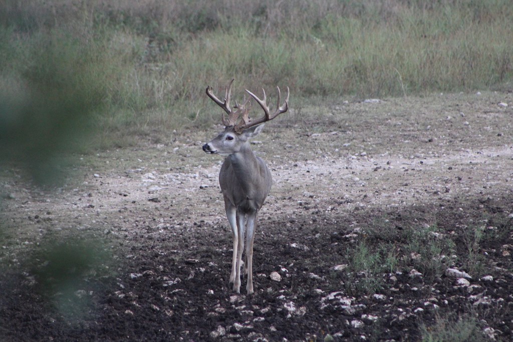 10 Blackjack Ranch Road, Unit 10 Harper, TX 78631 - Photo 2 of 7 Gallery Image 2