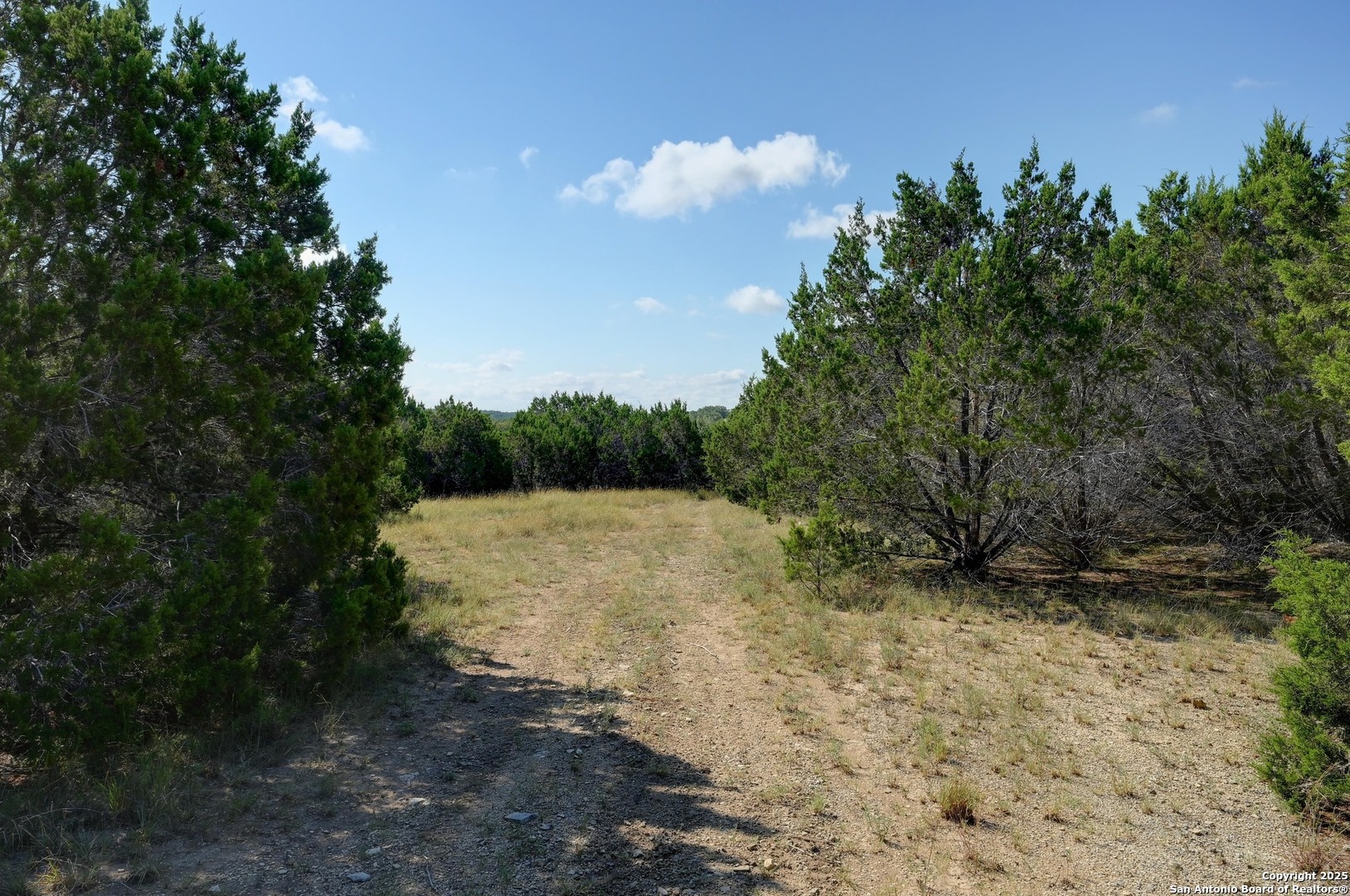 Tract 4 Pierson Road Blanco, TX 78606 - Photo 12 of 13 a view of an outdoor space and a yard