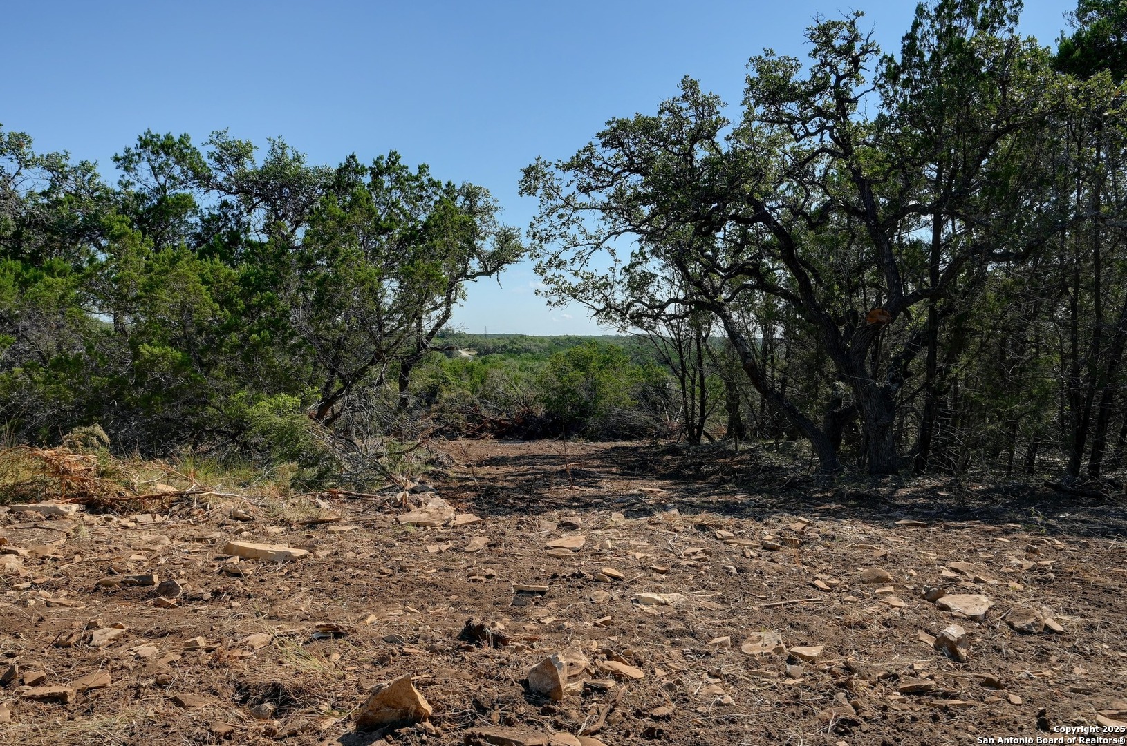 Tract 4 Pierson Road Blanco, TX 78606 - Photo 3 of 13
