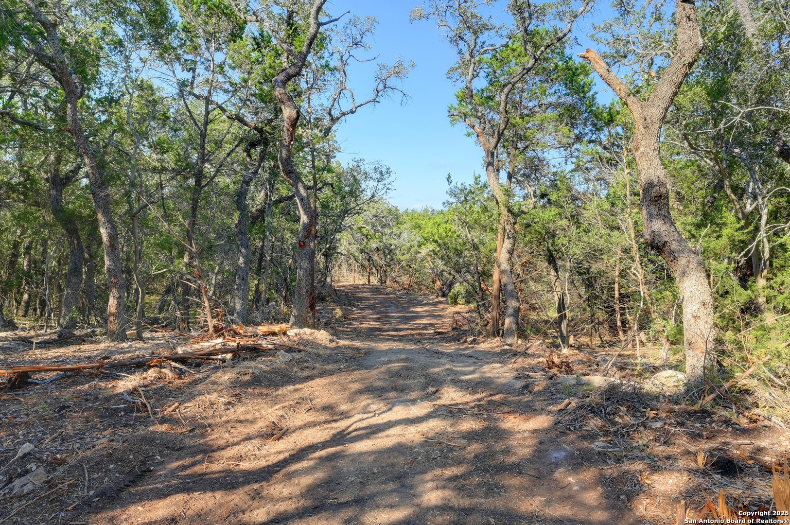 Tract 4 Pierson Road Blanco, TX 78606 - Photo 5 of 13 a view of outdoor space with trees