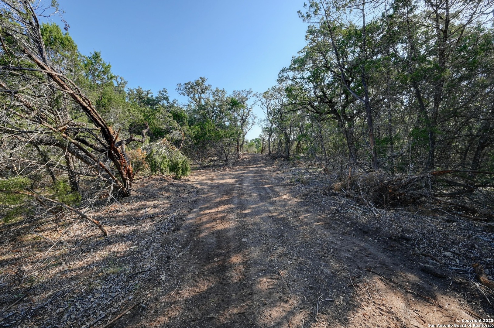 Tract 4 Pierson Road Blanco, TX 78606 - Photo 8 of 13 a view of a yard with a tree