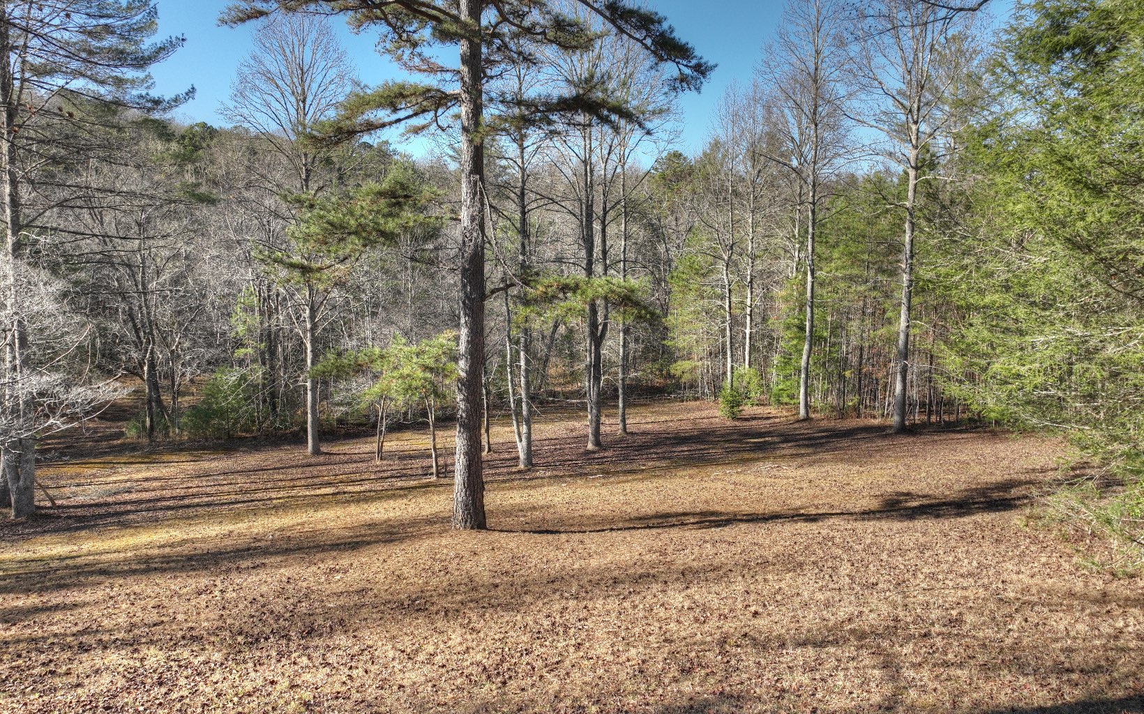 206 Cedar Valley Road Blue Ridge, GA 30513 - Photo 53 of 75 Additional View