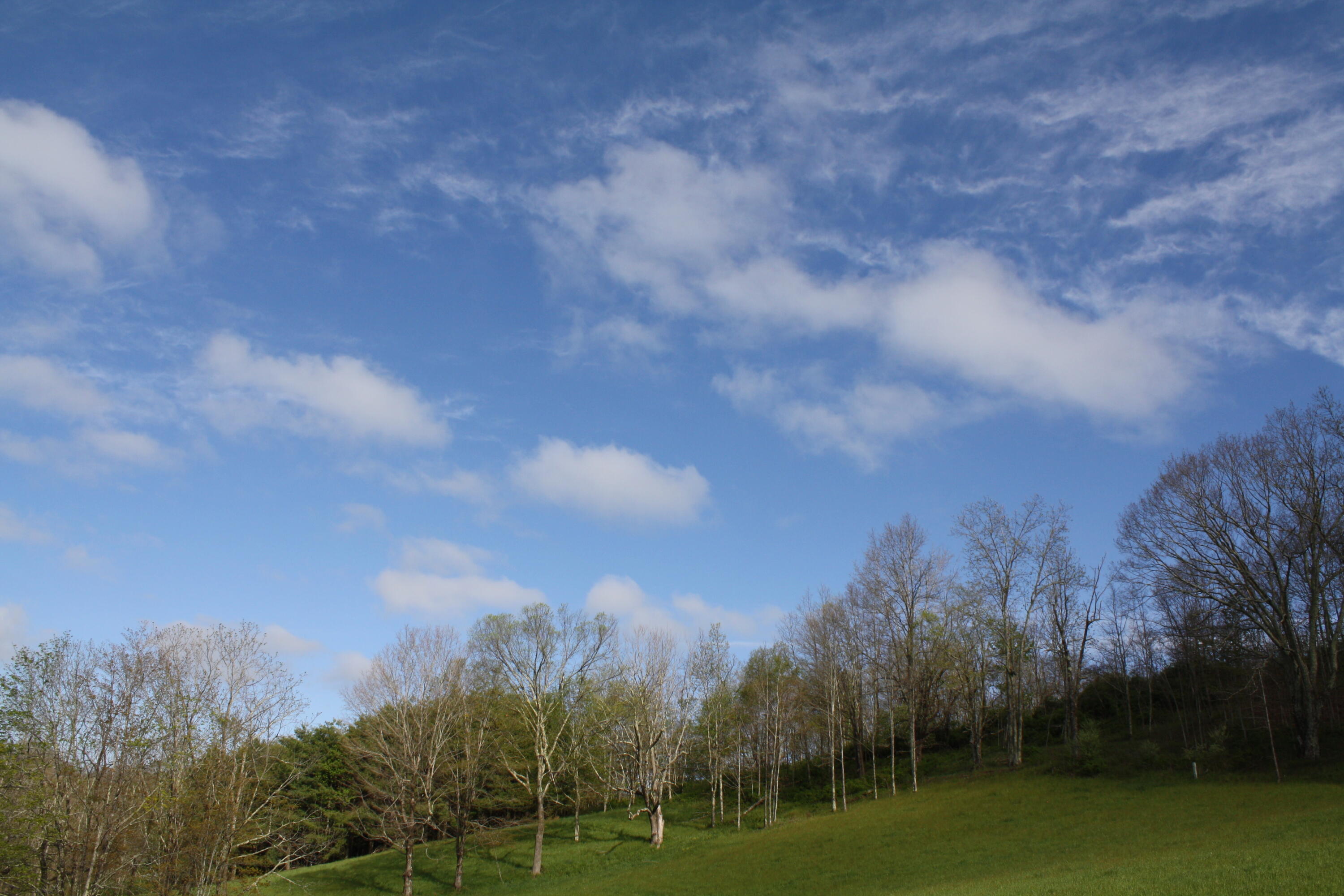 1161 Plumley Mountain Road Sandstone, WV 25985 - Photo 12 of 138 Gallery Image 12