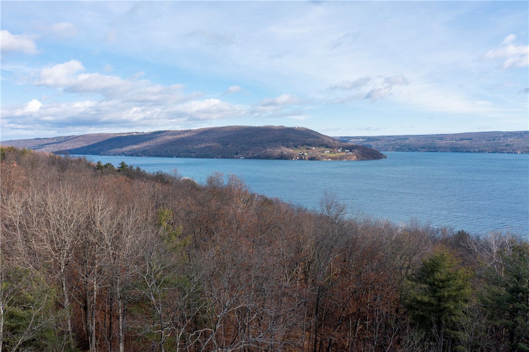 10202 Gibson Road Hammondsport, NY 14840 - Photo 1 of 1 Gallery Image 1