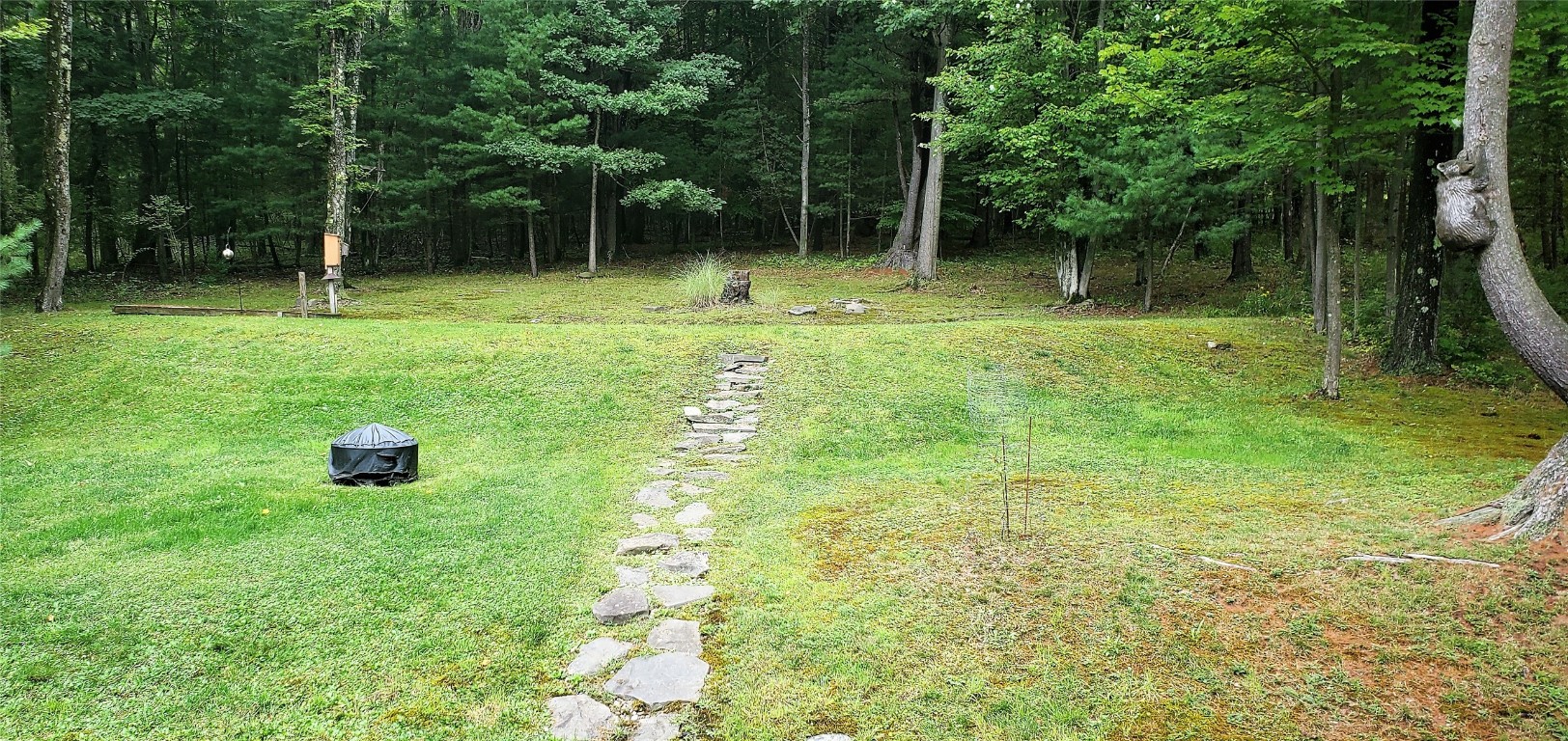7 Wilcox Road Binghamton, NY 13903 - Photo 28 of 33 Gallery Image 28