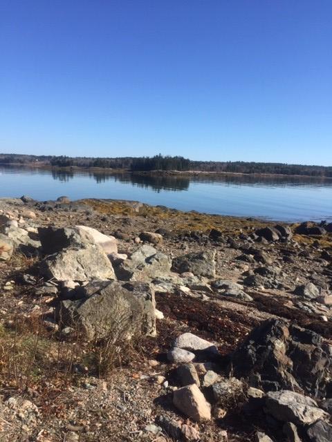 516 Gouldsboro Point Road Gouldsboro, ME 04607 - Photo 50 of 52 Water front