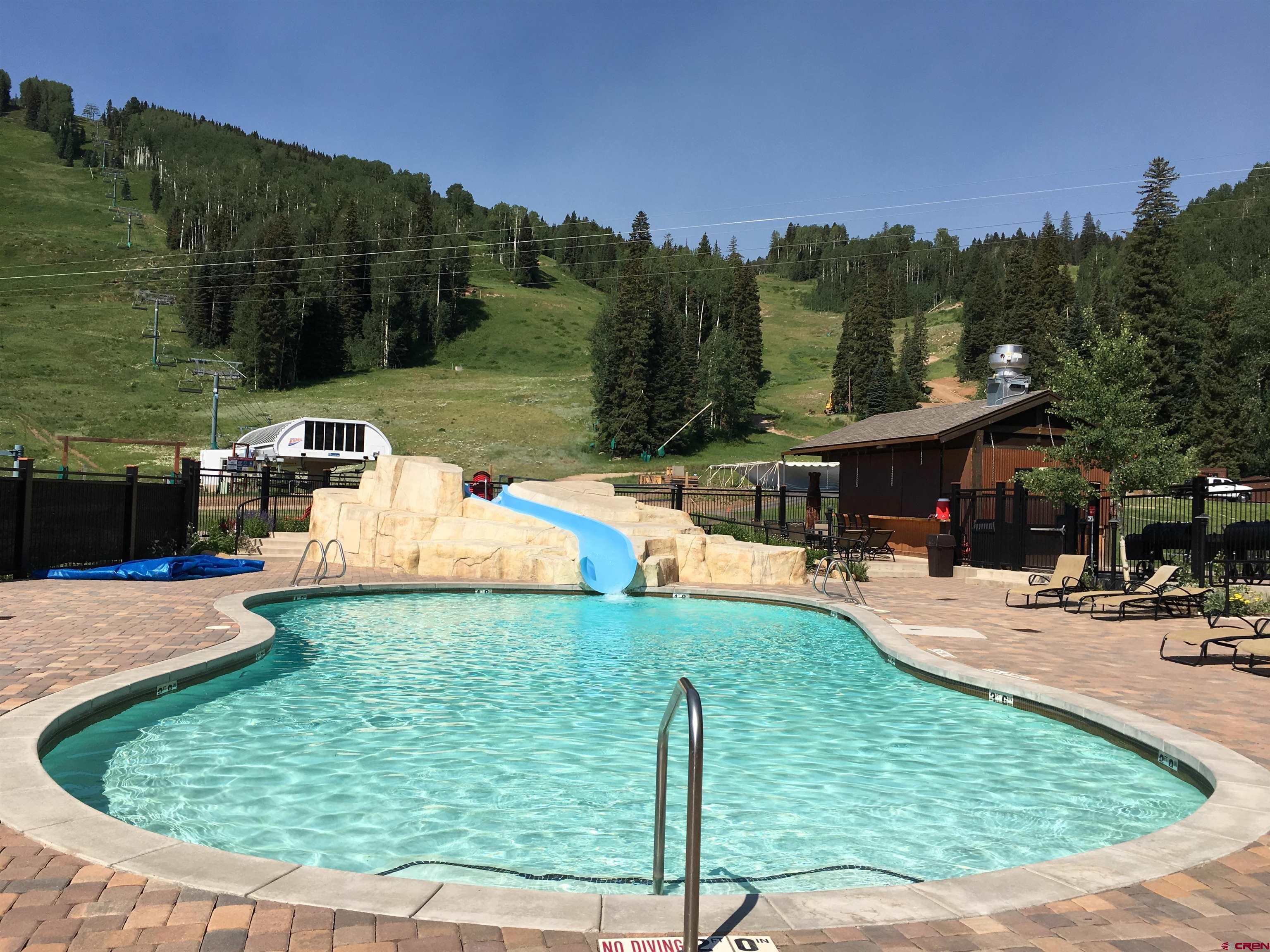49789 Highway 550 Durango, CO 81301 - Photo 18 of 35 a view of a swimming pool with a patio