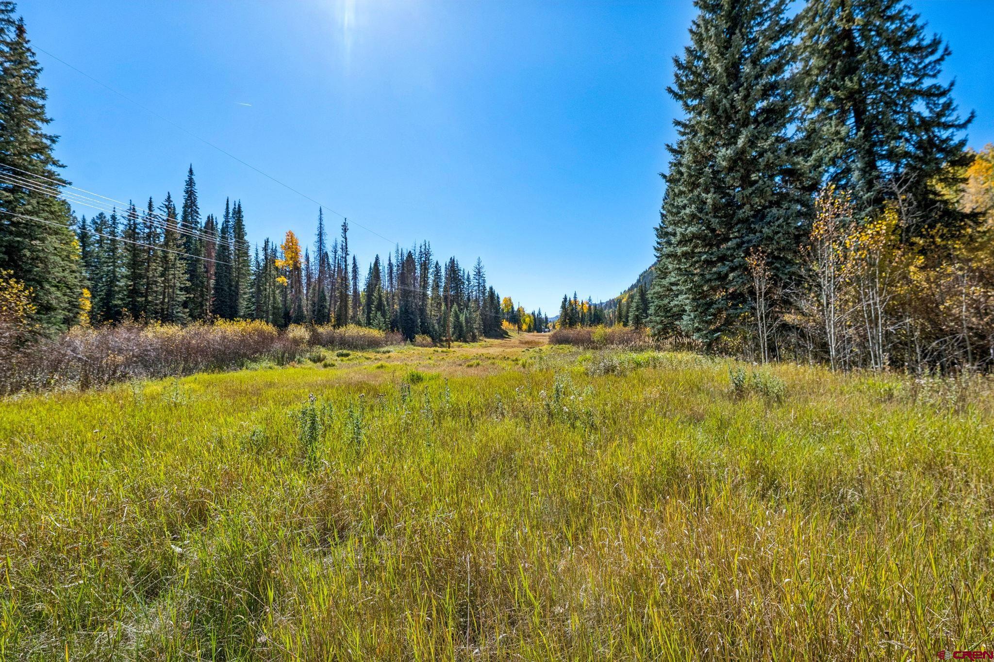 49789 Highway 550 Durango, CO 81301 - Photo 31 of 35 a view of a yard with trees
