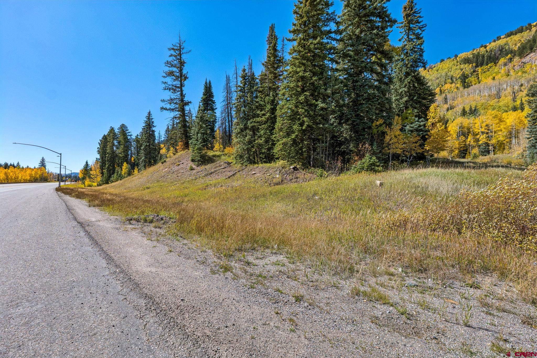 49789 Highway 550 Durango, CO 81301 - Photo 35 of 35 a view of a yard with large trees