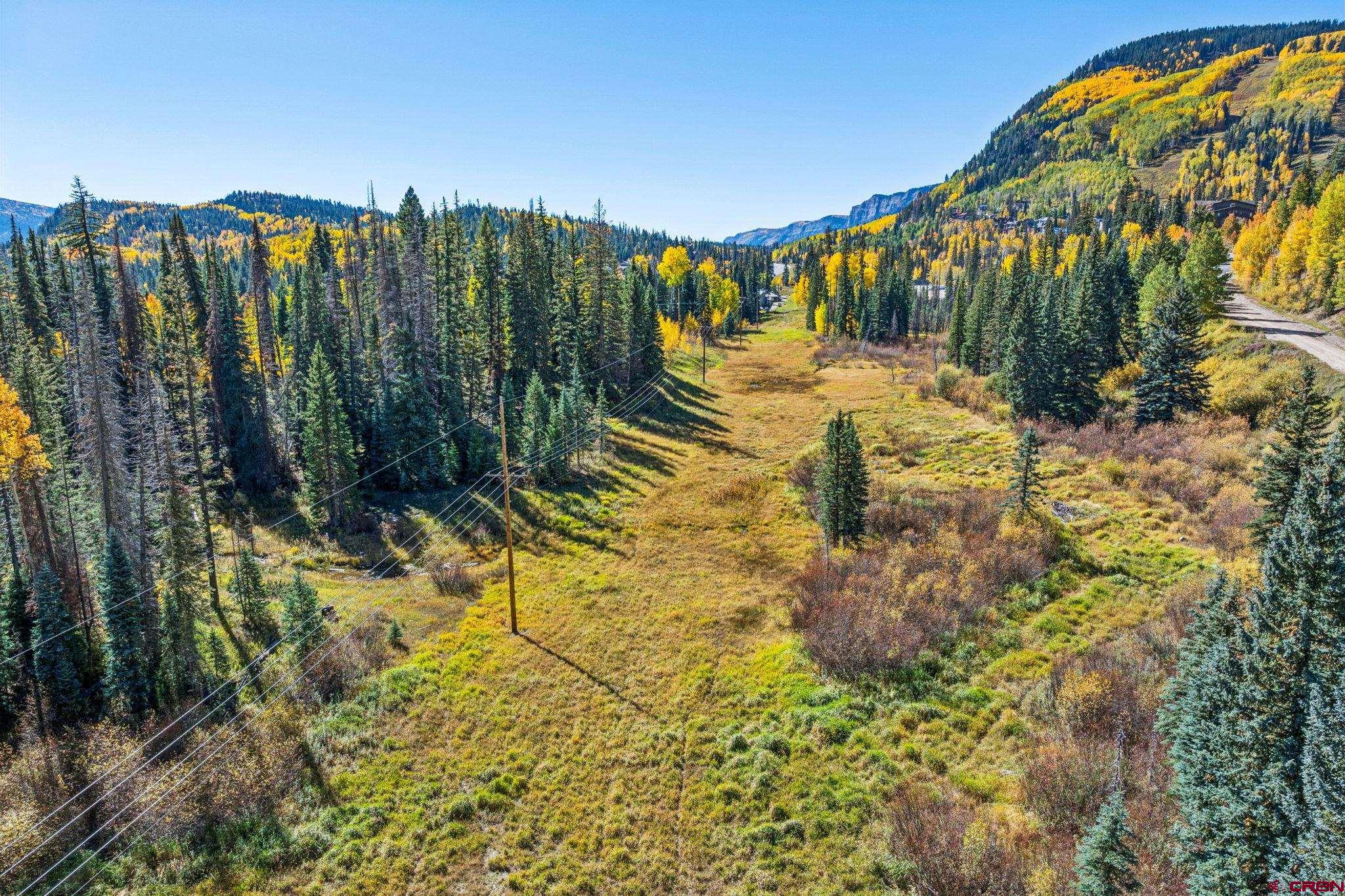 49789 Highway 550 Durango, CO 81301 - Photo 4 of 35 a view of a yard with plants and large trees