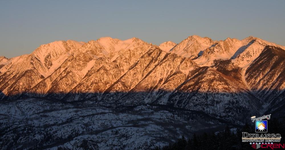 49789 Highway 550 Durango, CO 81301 - Photo 7 of 35 a view of trees in a yard