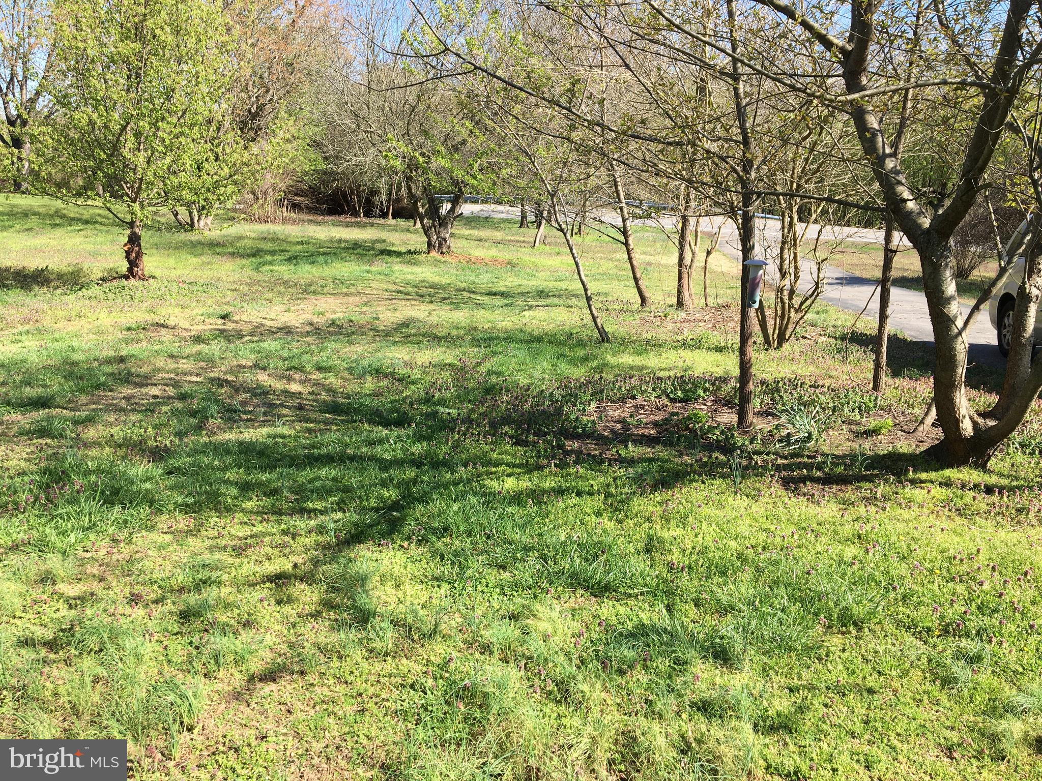 1965 Smoky Road Huntingtown, MD 20639 - Photo 24 of 32 Front Yard