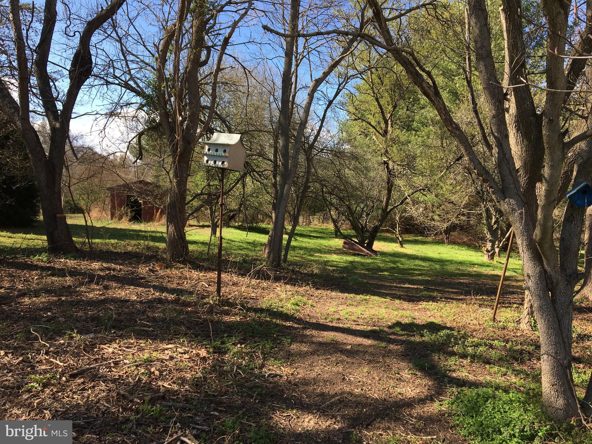 1965 Smoky Road Huntingtown, MD 20639 - Photo 25 of 32 Rear Yard