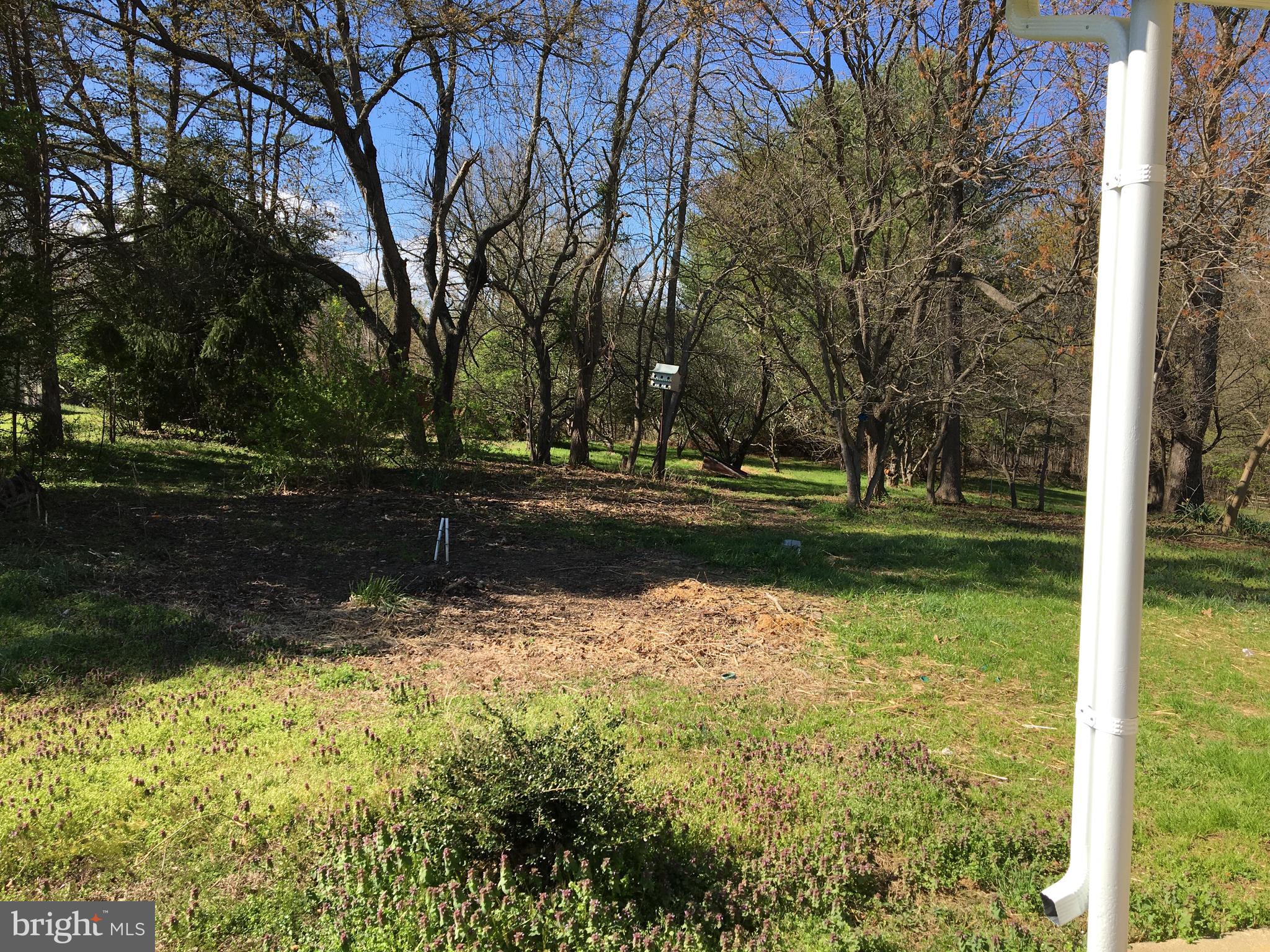 1965 Smoky Road Huntingtown, MD 20639 - Photo 26 of 32 Rear Yard