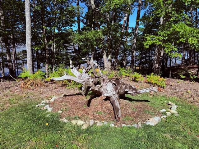 19 Bridges Point Road Penobscot, ME 04476 - Photo 10 of 43 IMG_5282 (1)