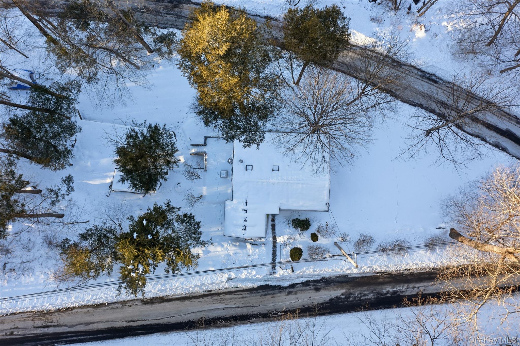 37 Sawmill Road Putnam Valley, NY 10579 - Photo 5 of 23 a view of a tree with a yard