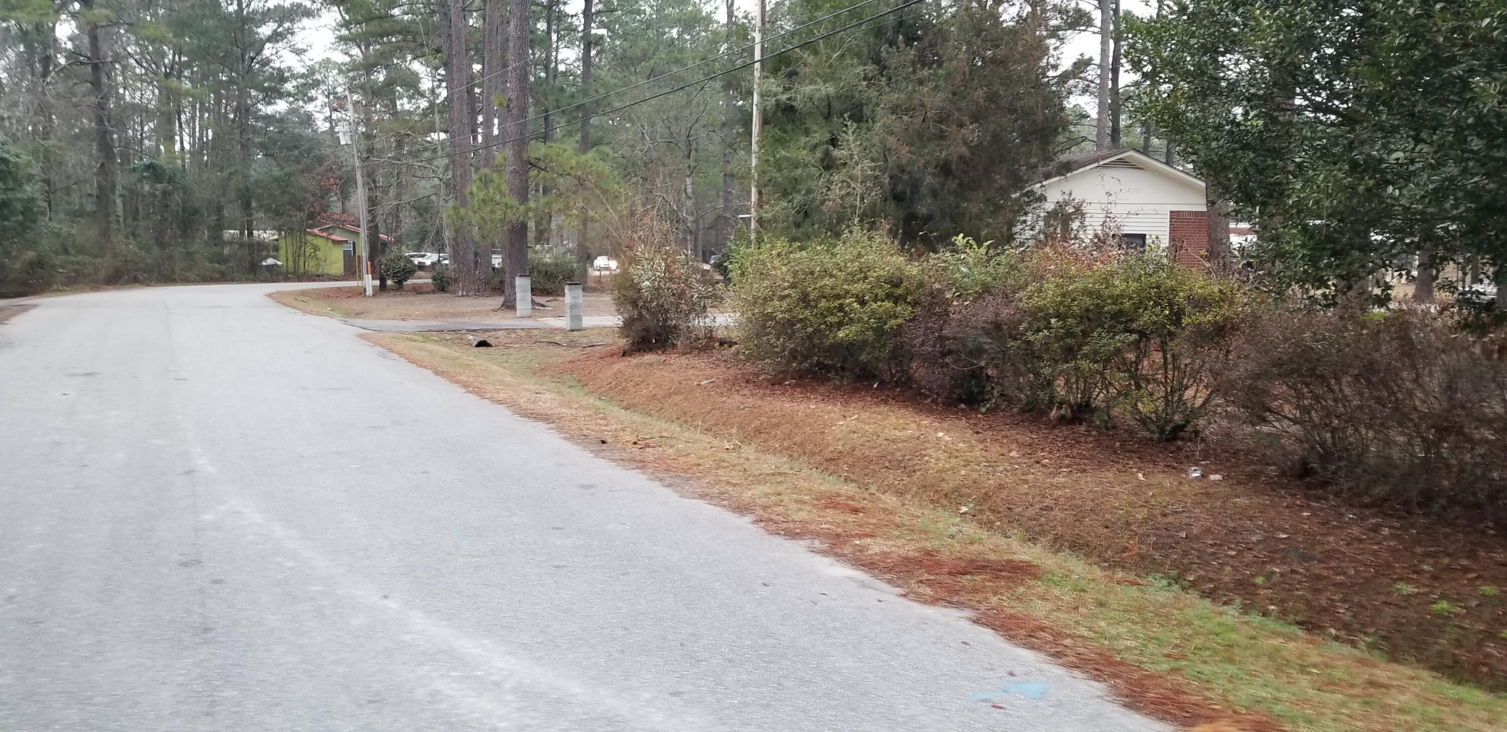 309 Pine Needle Road Walterboro, SC 29488 - Photo 2 of 3 20260205_171738