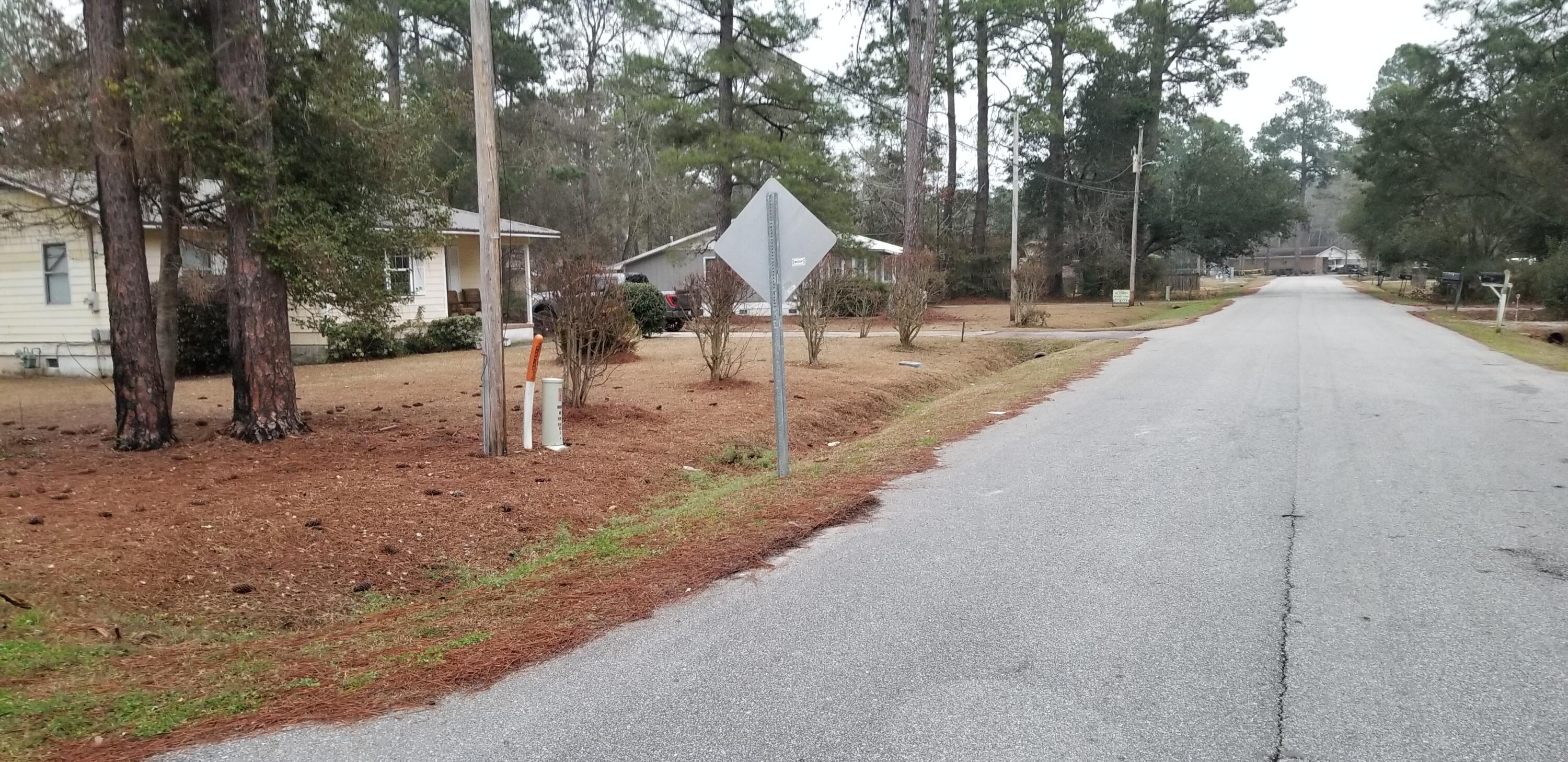 309 Pine Needle Road Walterboro, SC 29488 - Photo 3 of 3 20260205_171742