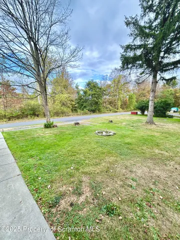 a big yard with lots of green space and palm trees