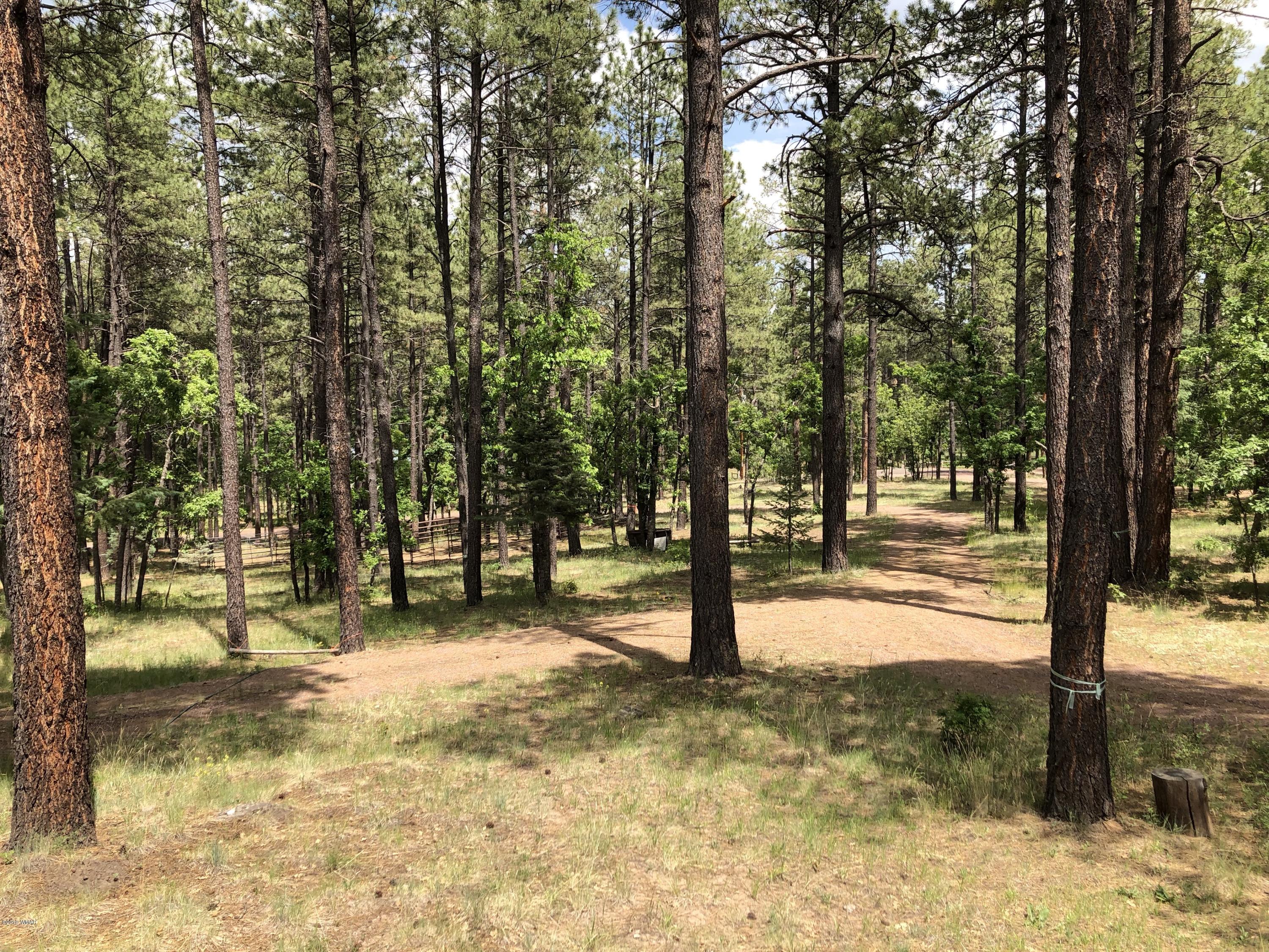 9 County Rd N2049 Alpine, AZ 85920 - Photo 31 of 70