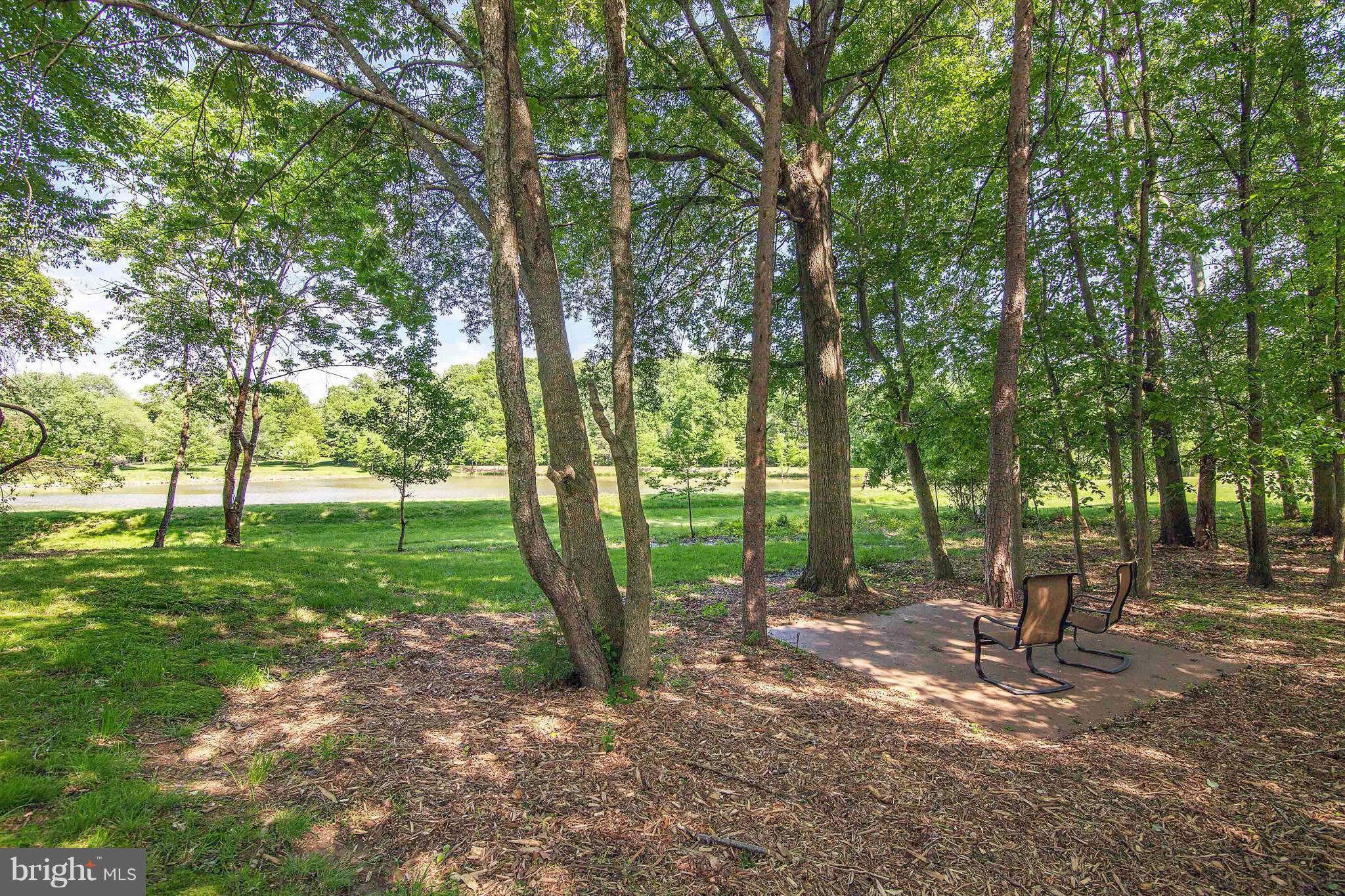 2327 Rosedown Drive Reston, VA 20191 - Photo 21 of 23 Backyard with view of Lake
