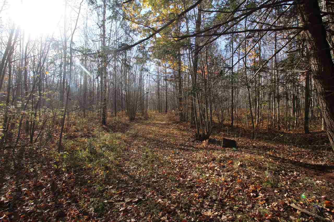 2238 West Youngs Road Gladwin, MI 48624 - Photo 30 of 37 Gallery Image 30