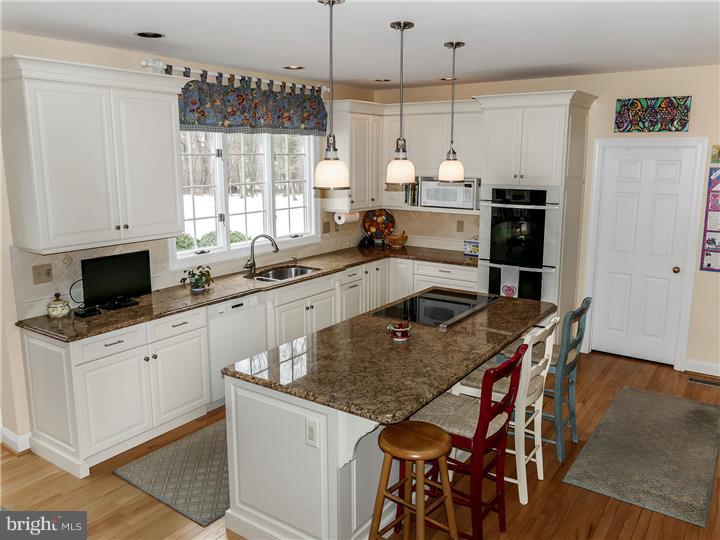 9 Pheasant Run Road New Hope, PA 18938 - Photo 5 of 25 Kitchen