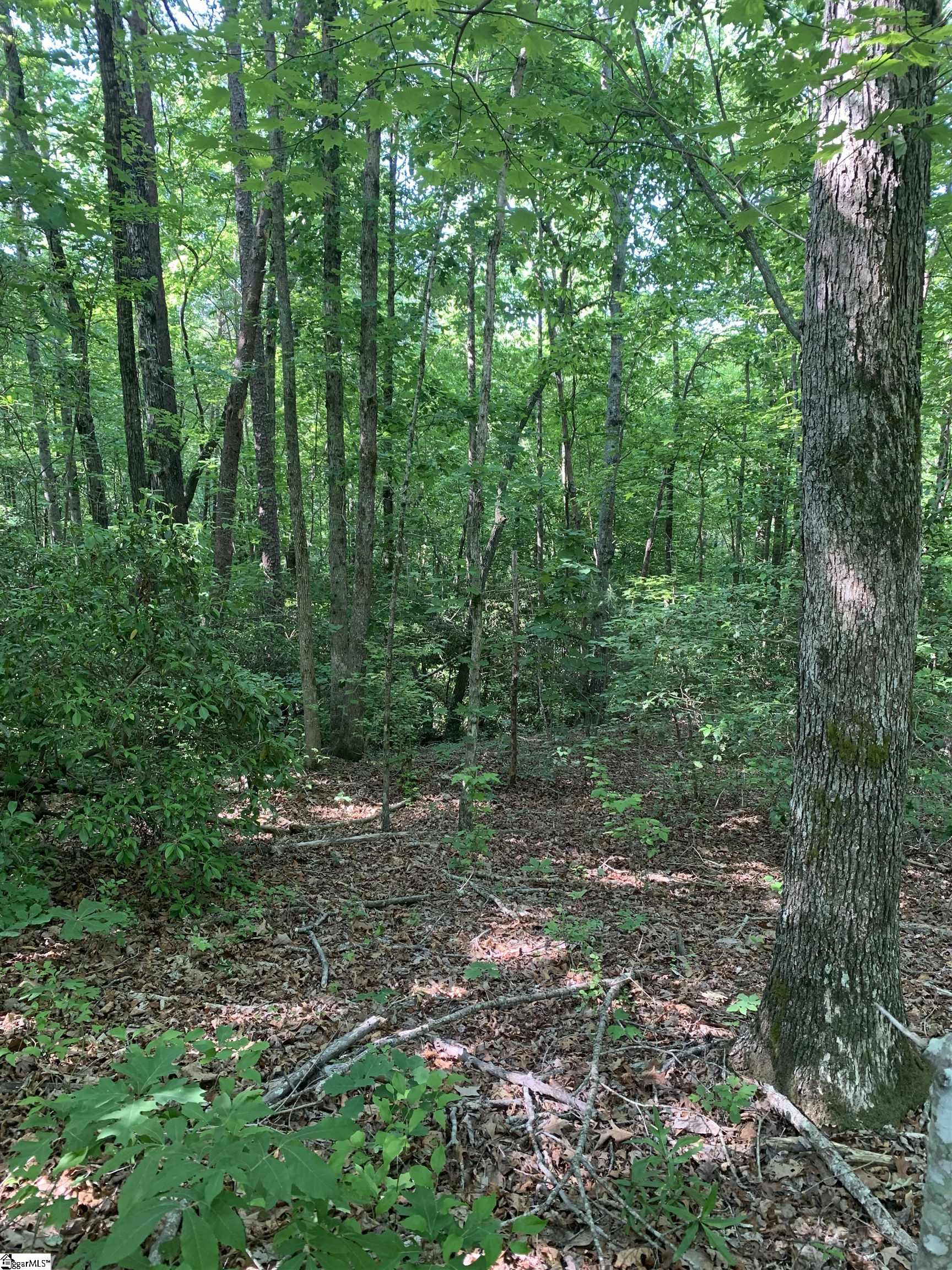 0 Chinquapin Road, Unit LOT 5 Travelers Rest, SC 29690 - Photo 6 of 8 Gallery Image 6