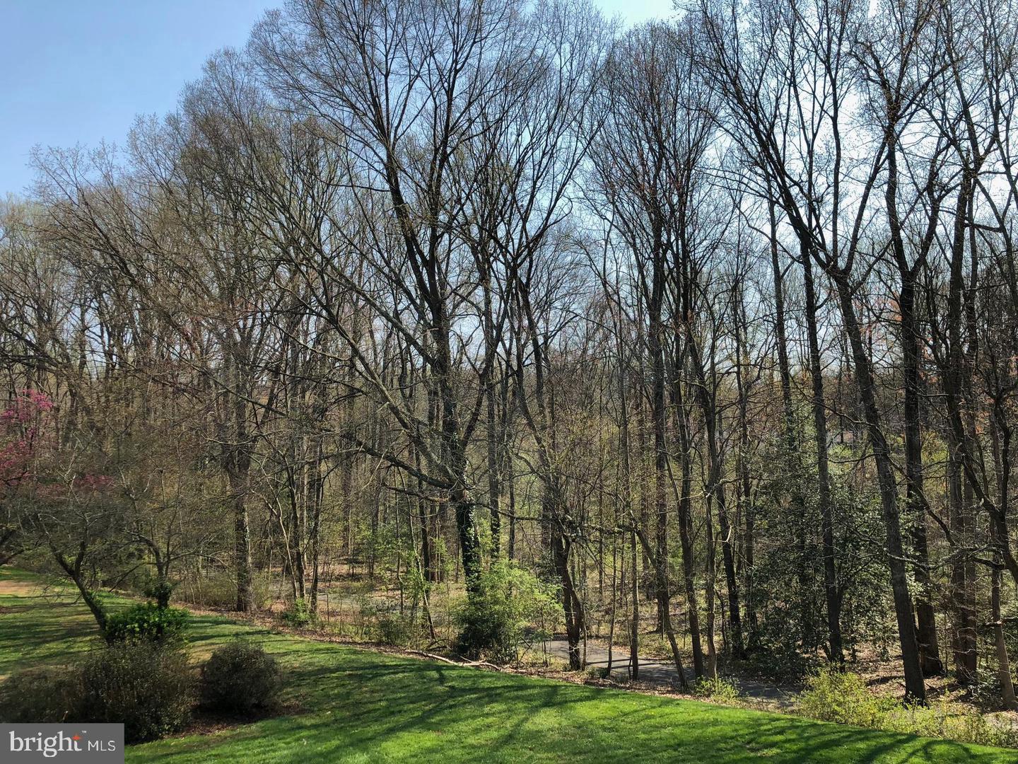 11659 Stoneview Square, Unit 11C Reston, VA 20191 - Photo 30 of 32 Serene wooded retreat awaits you.