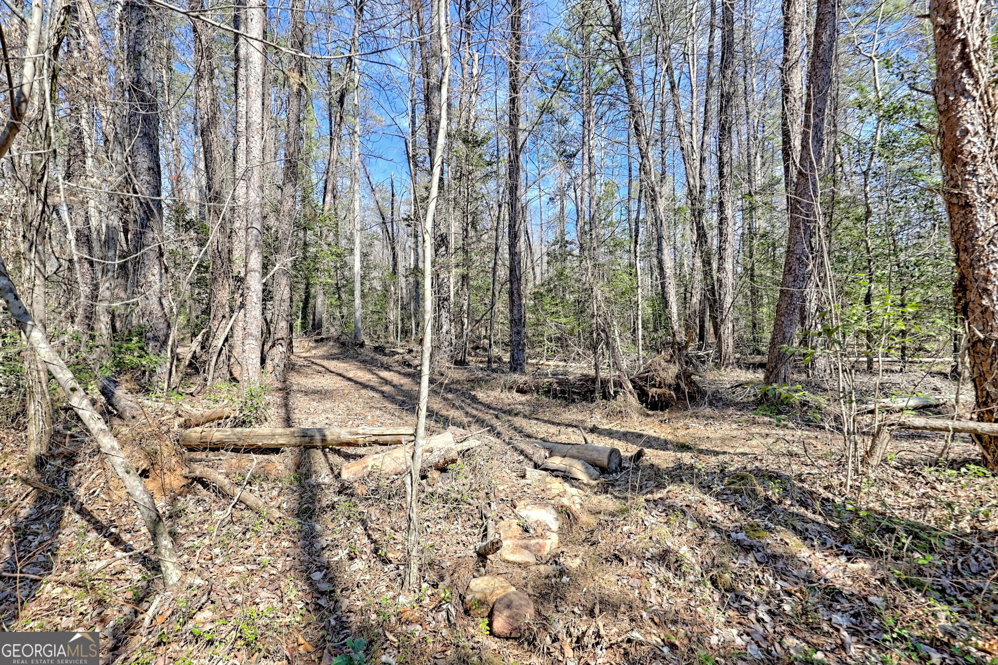 4960 Laurel Lodge Road, Unit 46 Clarkesville, GA 30523 - Photo 36 of 41 a view of a forest with trees