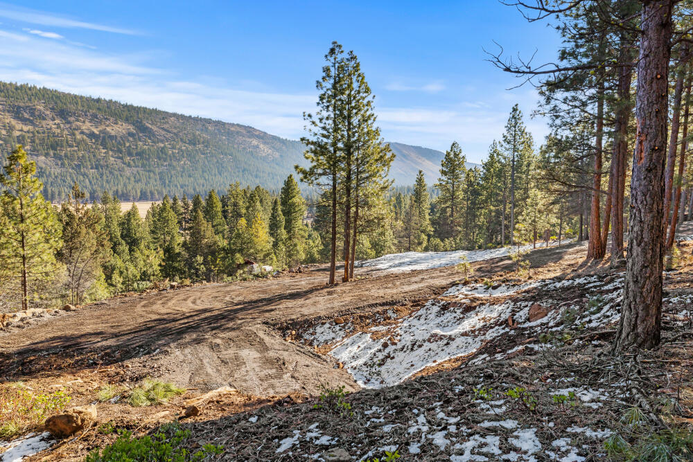0 Simpson Canyon Road, Unit 15 Klamath Falls, OR 97601 - Photo 10 of 37 a view of a yard with mountain view