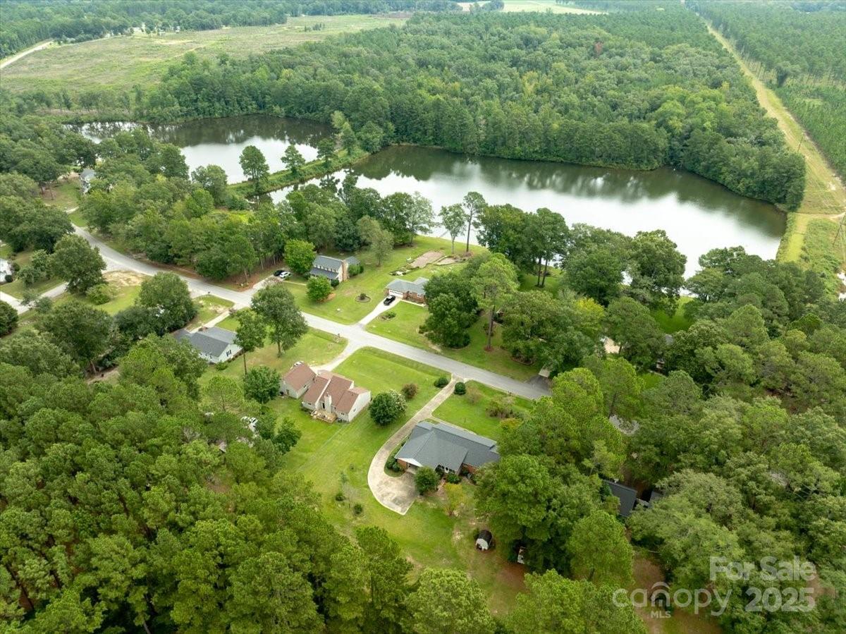 332 Ridge Road Cheraw, SC 29520 - Photo 45 of 46 a view of a yard with a tree