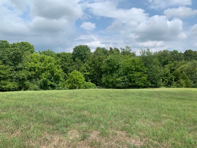 1275 Bagwell Road Clarksville, TN 37043 - Photo 1 of 8 Gallery Image 1