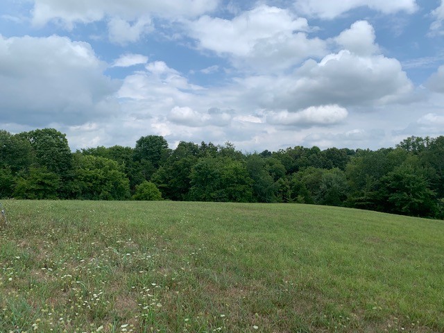 1275 Bagwell Road Clarksville, TN 37043 - Photo 4 of 8 Gallery Image 4