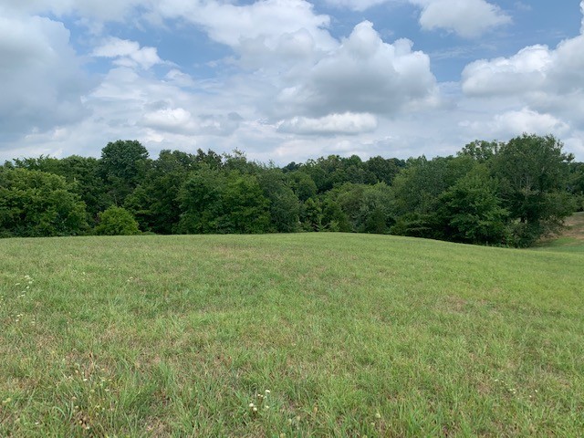 1275 Bagwell Road Clarksville, TN 37043 - Photo 6 of 8 Gallery Image 6