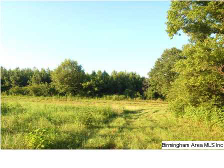509 County Road, Unit 40 Woodland, AL 36280 - Photo 19 of 21