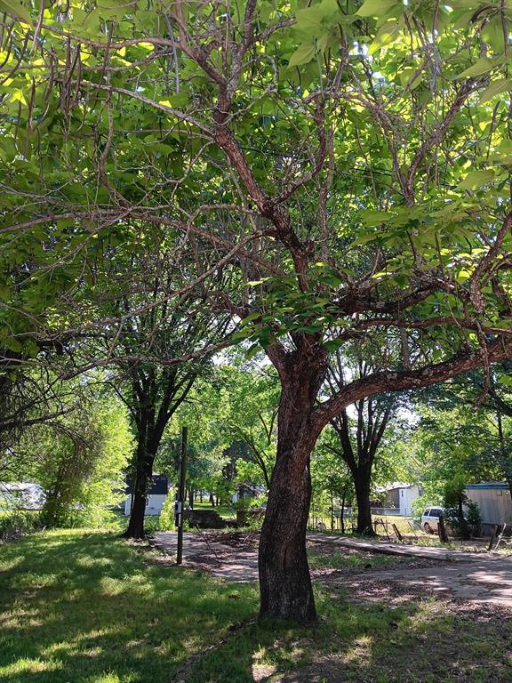 210 Spring Valley Street Gun Barrel City, TX 75156 - Photo 2 of 7 Mature trees provide ample shade over a grassy lot