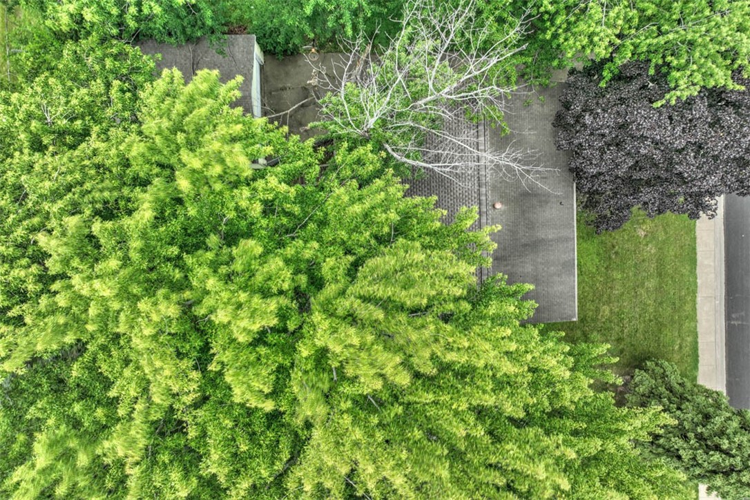 175 West Ash Avenue Decatur, IL 62526 - Photo 5 of 30