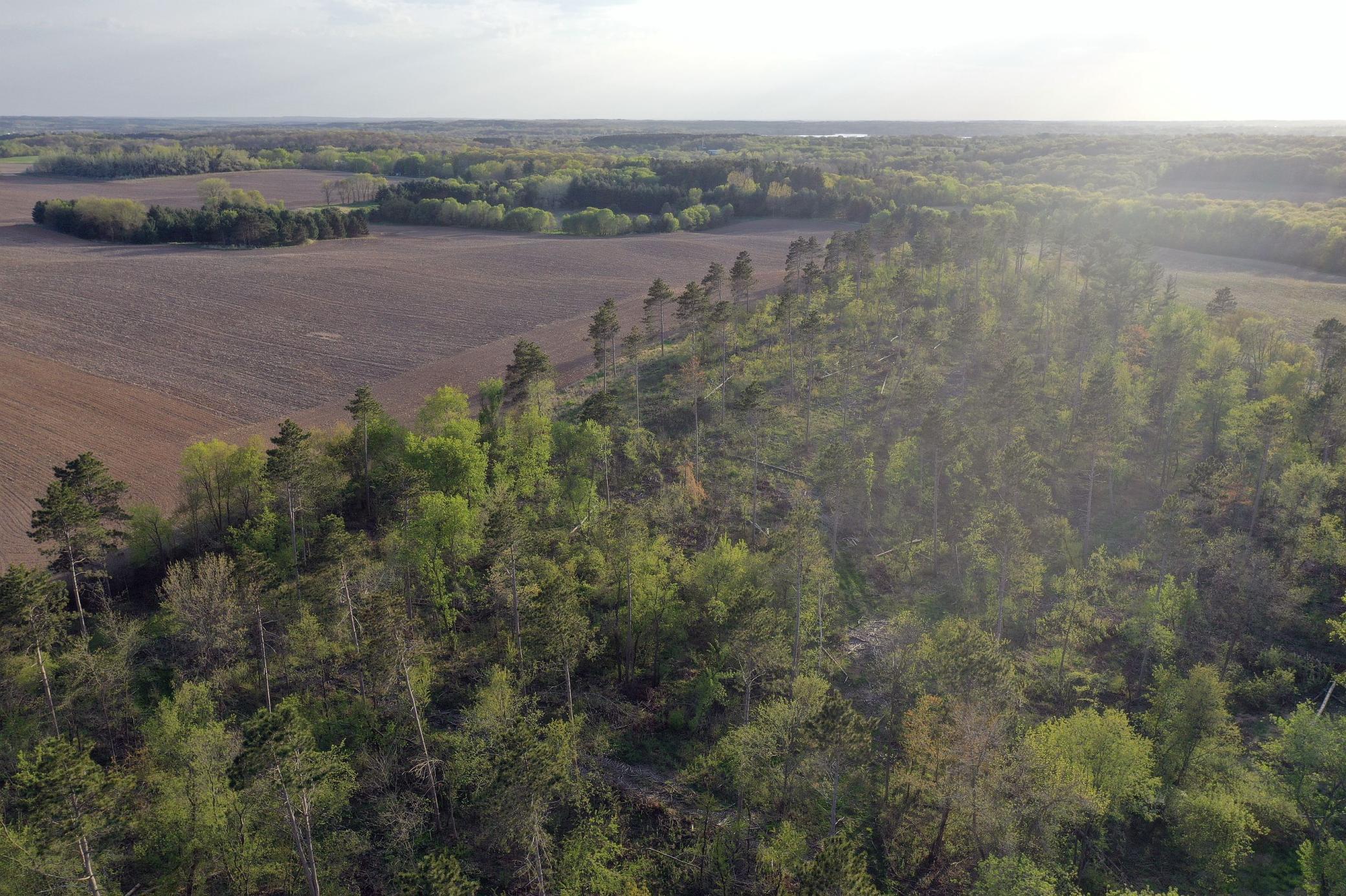 65 Star Prairie Star Prairie, WI 54026 - Photo 20 of 29 Gallery Image 20