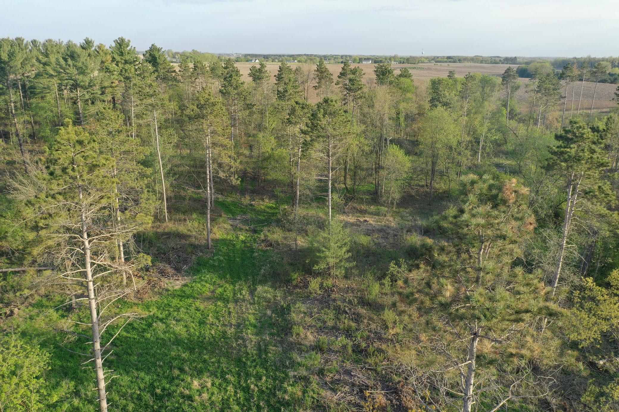 65 Star Prairie Star Prairie, WI 54026 - Photo 22 of 29 Gallery Image 22