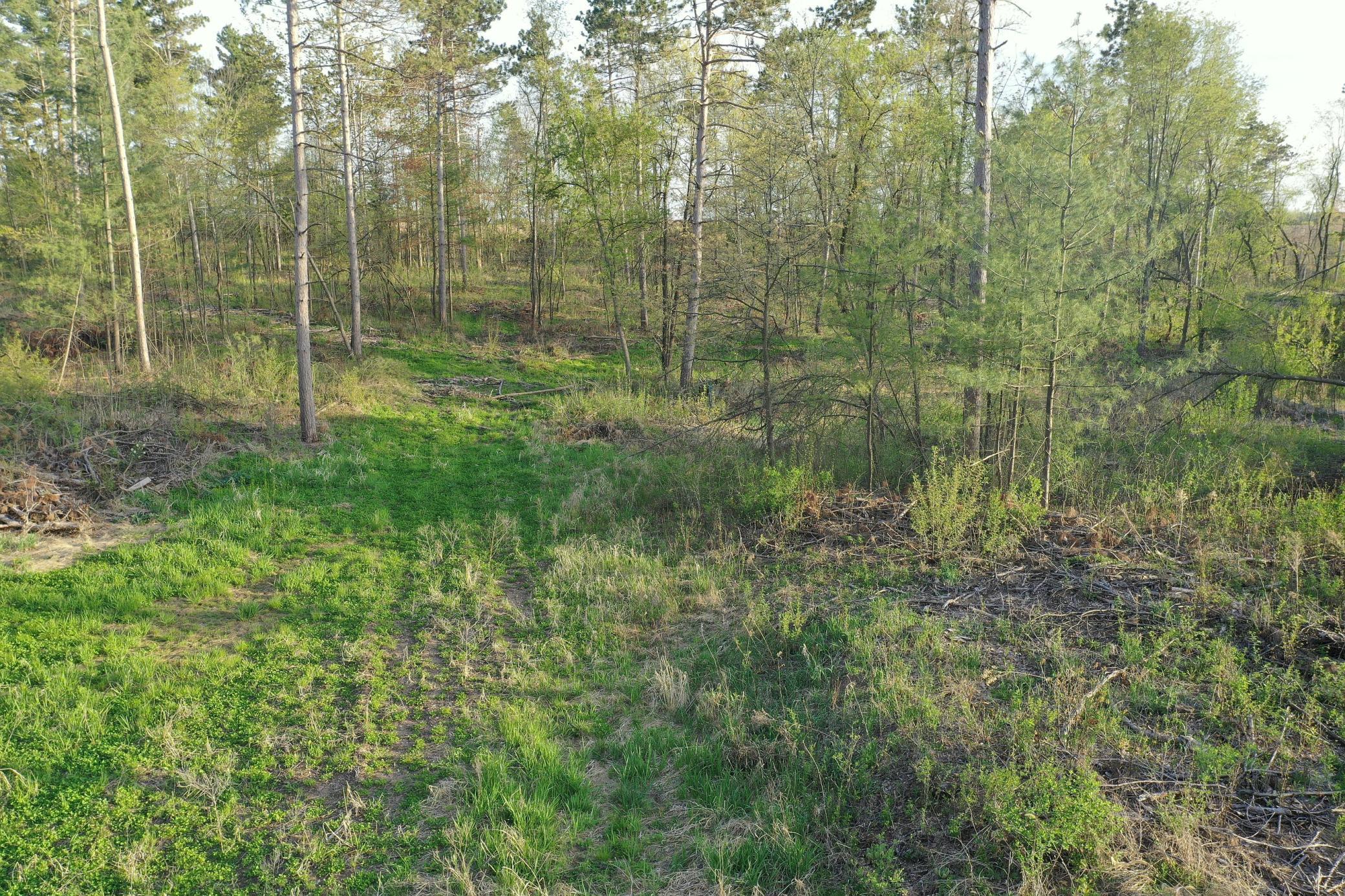65 Star Prairie Star Prairie, WI 54026 - Photo 24 of 29 Gallery Image 24