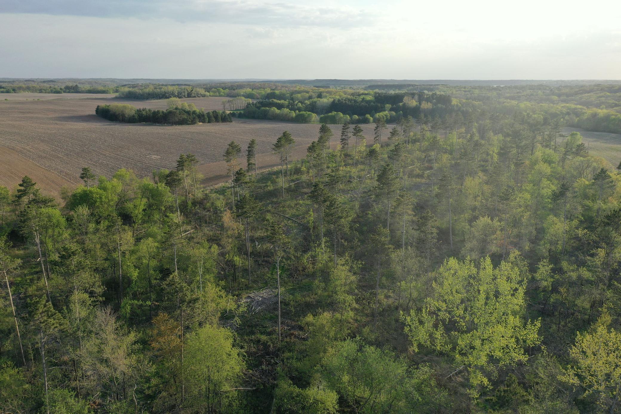65 Star Prairie Star Prairie, WI 54026 - Photo 26 of 29 Gallery Image 26
