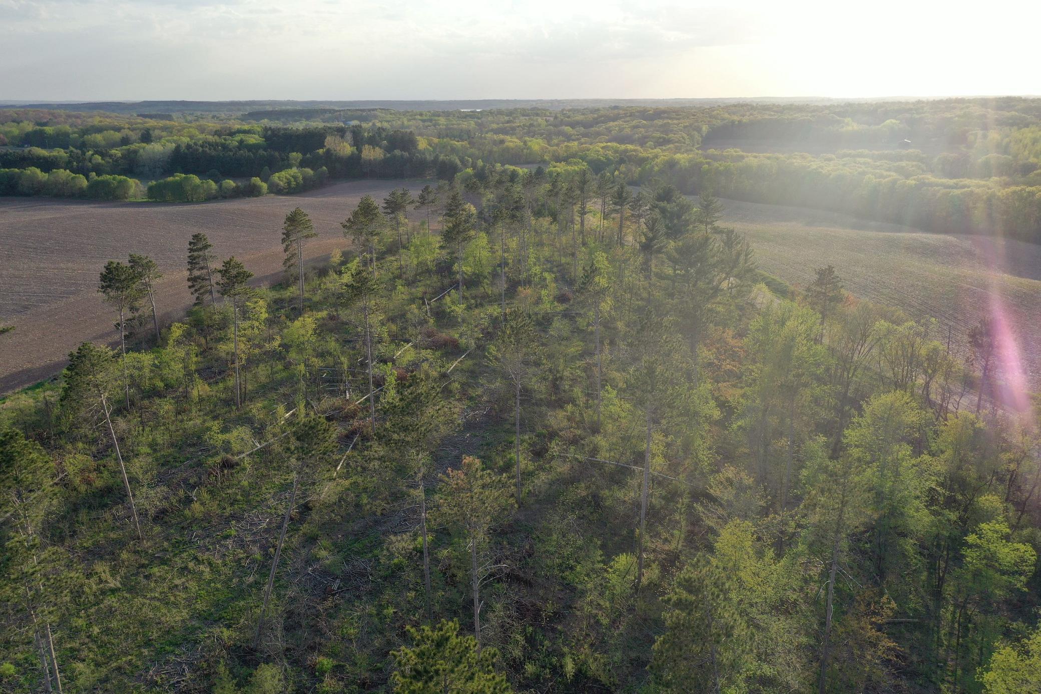 65 Star Prairie Star Prairie, WI 54026 - Photo 27 of 29 Gallery Image 27