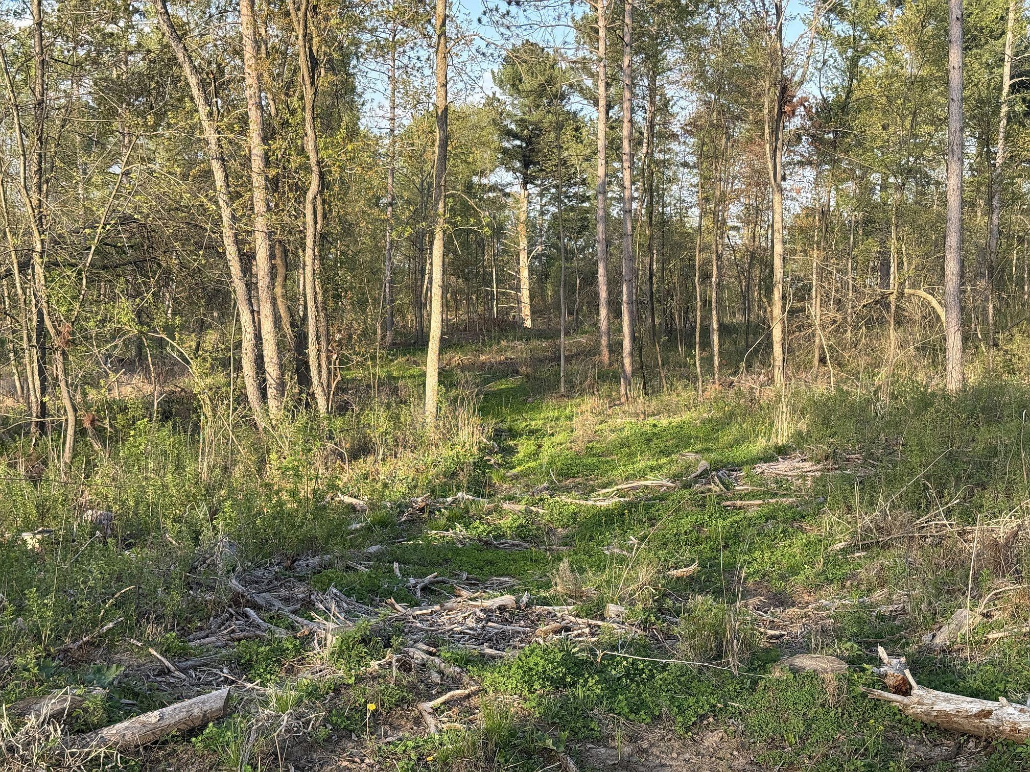 65 Star Prairie Star Prairie, WI 54026 - Photo 3 of 29 Gallery Image 3