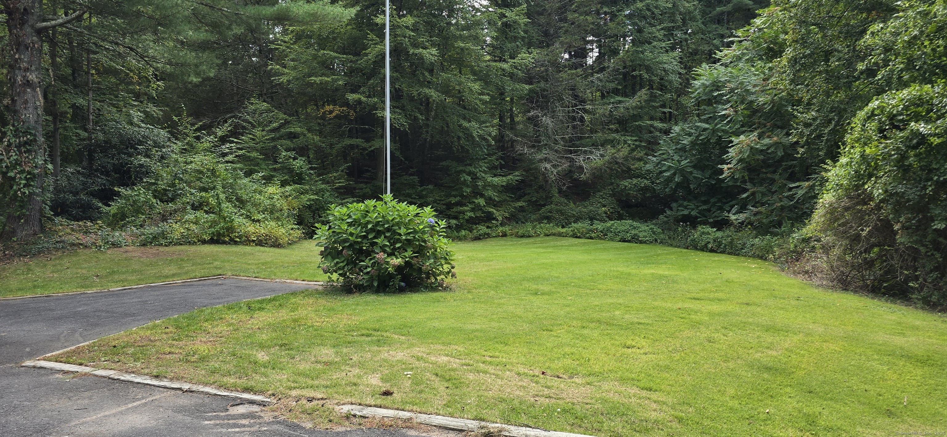 187 West Avon Road Avon, CT 06001 - Photo 31 of 40 a view of yard with green space