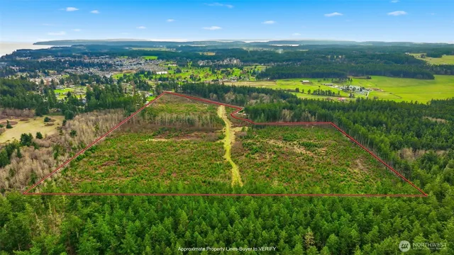 a view of lake with city view
