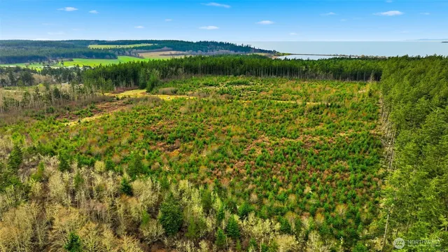 a view of lake with green space