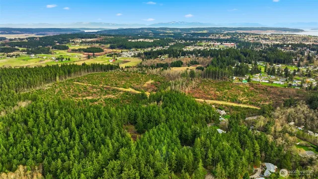 a view of city and ocean
