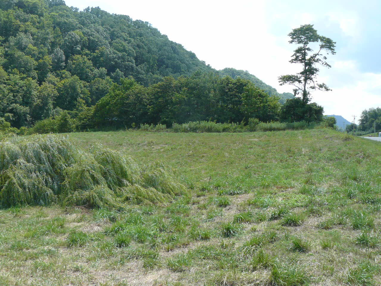 1090 Upper Caney Valley Road Tazewell, TN 37879 - Photo 2 of 6 P1370748